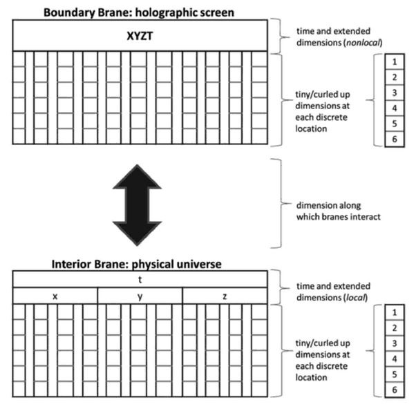 Diagram of a holographic universe: a boundary brane acting as a holographic screen above an interior brane representing the physical universe, linked by a double arrow.