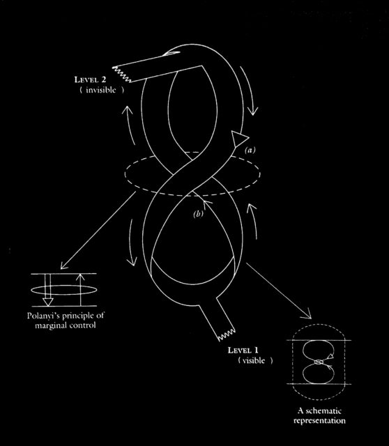 Strange loop diagram: a figure-eight loop linking an invisible level 2 and a visible level 1, with insets showing Polanyi’s principle of marginal control and a schematic representation.